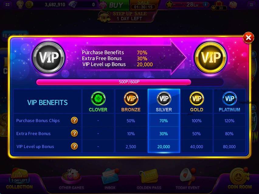 VIP · Point progress and tier benefits