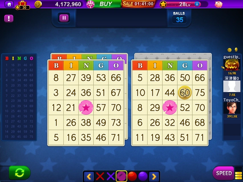 Bingo · Marking numbers and draw history